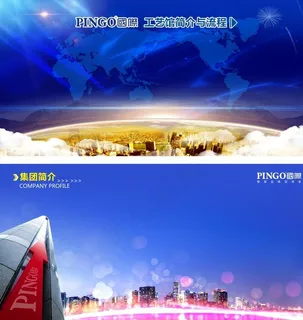 公司简介背景  PINGO国际图片