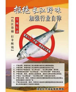 拒绝长江野味图片