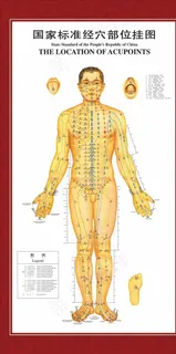 人体穴位图图片