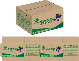 水果纸箱版面矢量图图片