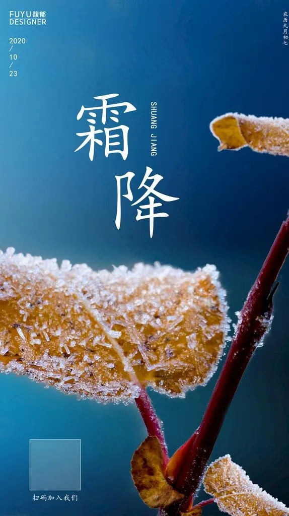 霜降海报 地产霜降图片(2075X3508(DPI:300))psd模版下载