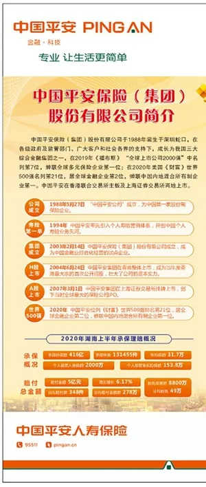 中国平安 平安公司简介图片