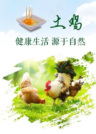 土鸡水墨海报图片