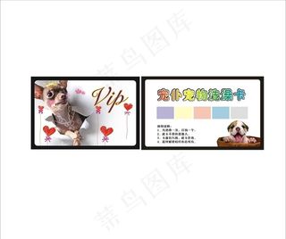 宠物洗澡卡图片