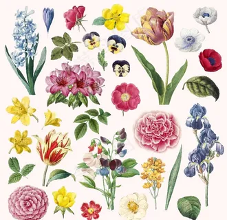 植物复古花卉矢量合集图片