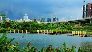 中澳友谊花园图片