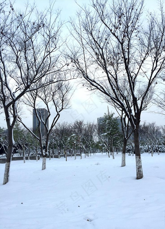 雪景图片