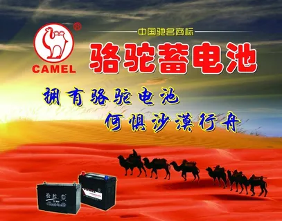 骆驼蓄电池图片