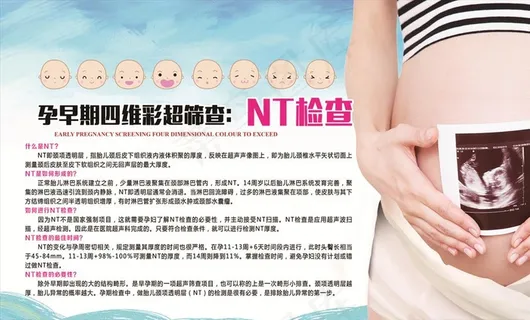 孕早期四维彩超筛查NT检查图片