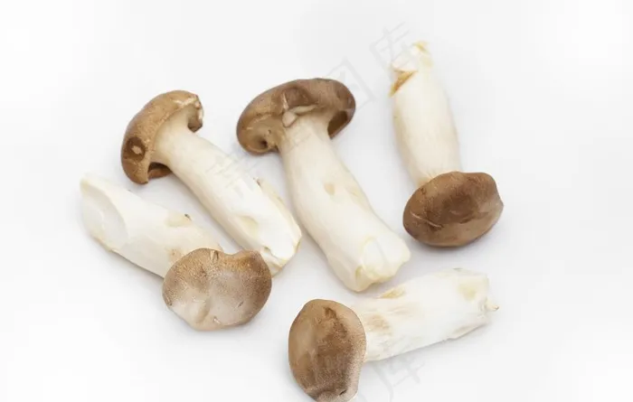 杏鲍菇图片