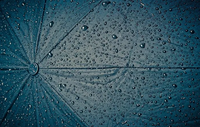 雨伞特写图片