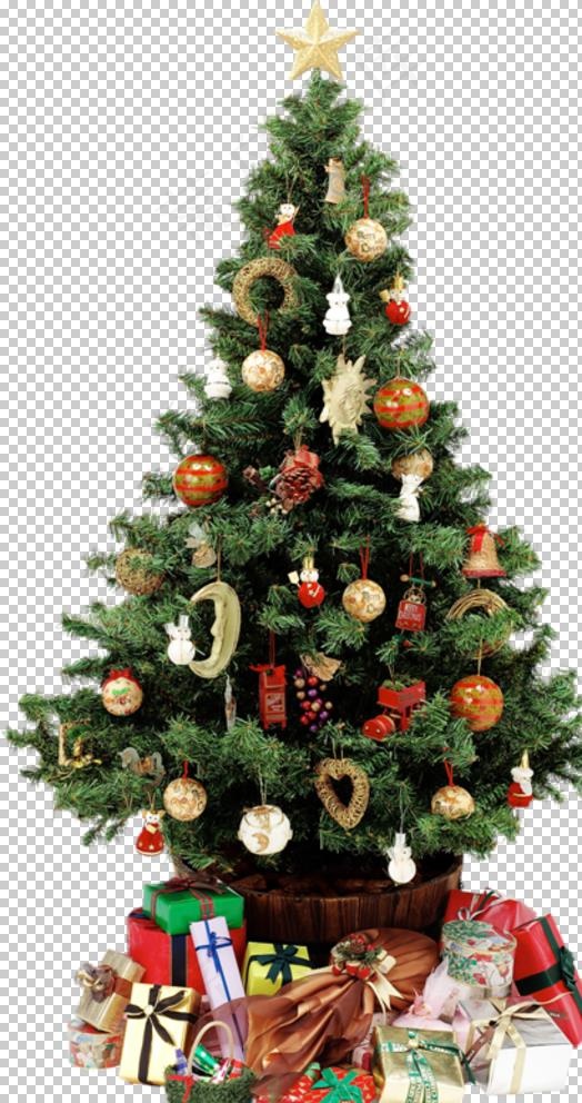 圣诞树素材图片