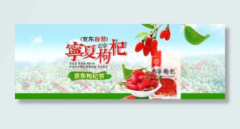 宁夏枸杞图片psd模版下载