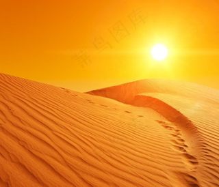 沙漠风景图片