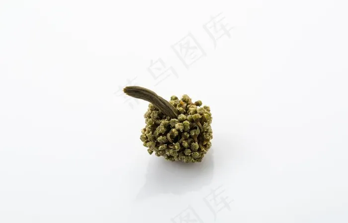 三七花图片