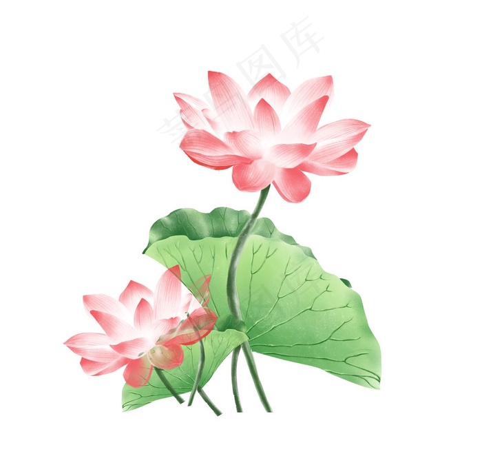 荷花图片psd模版下载