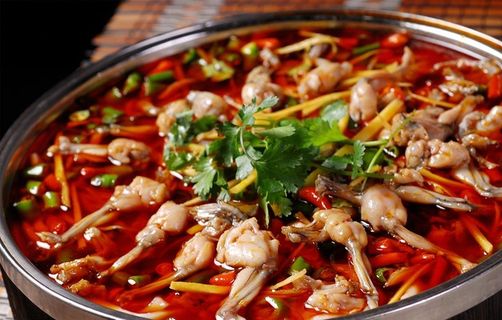 牌菜鲜锅美蛙图片