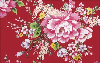 牡丹花开 背景 墙纸 图片