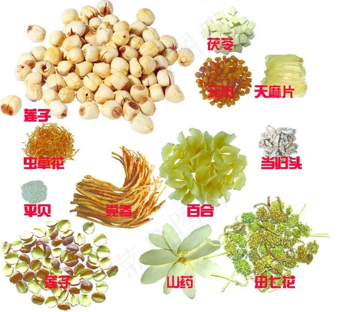 中药图片(6000X5635(DPI:350))psd模版下载