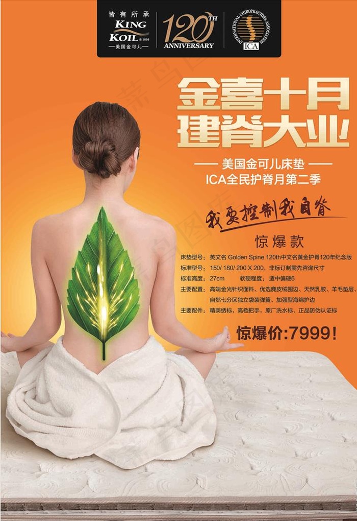金可儿图片ai矢量模版下载
