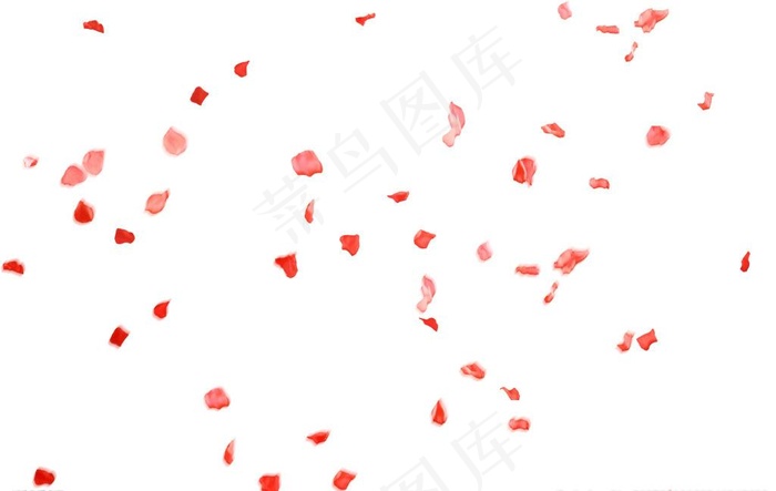 玫瑰花瓣图片