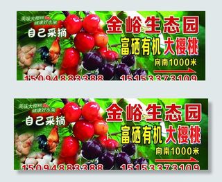 大樱桃生态园采摘园图片