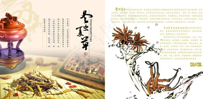 冬虫夏草DM单图片(4795X2433(DPI:300))psd模版下载