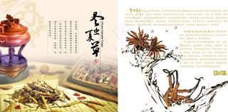 冬虫夏草DM单图片