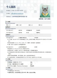 word简历图片 word简历图片