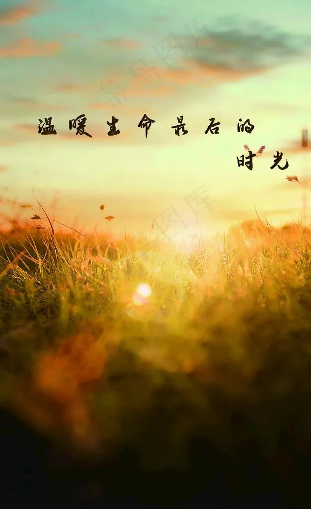 临终守护图片