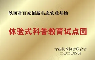 钛金牌  奖牌图片