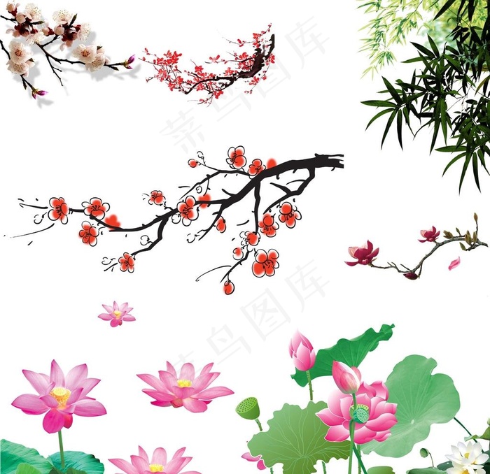 荷花 梅花 竹子图片