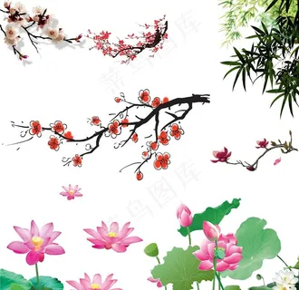 荷花 梅花 竹子图片 荷花 梅花 竹子图片