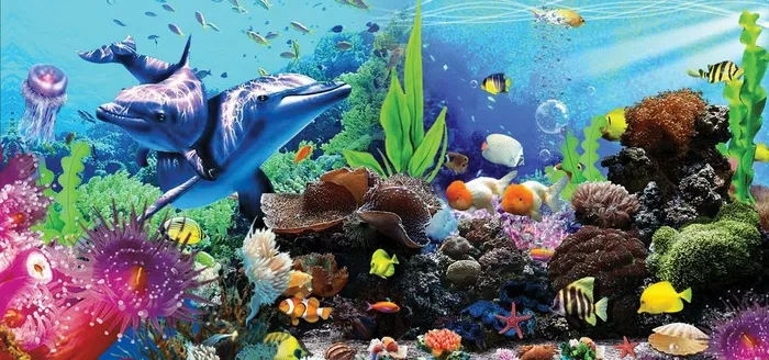 鱼缸背景图图片
