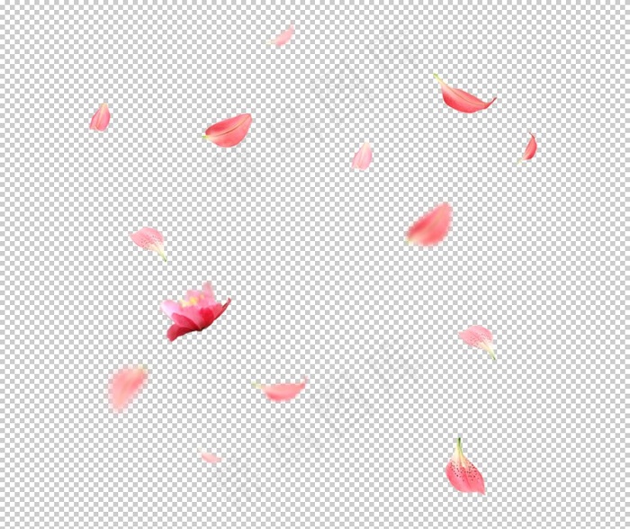 飘落的花瓣图片