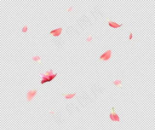 飘落的花瓣图片