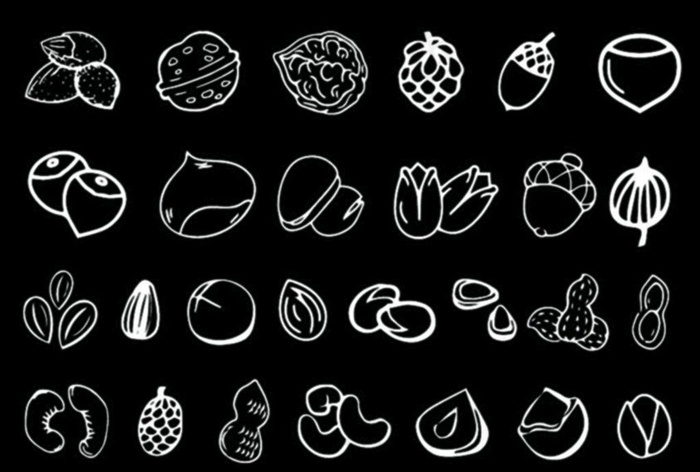 坚果简笔画图片eps,ai矢量模版下载