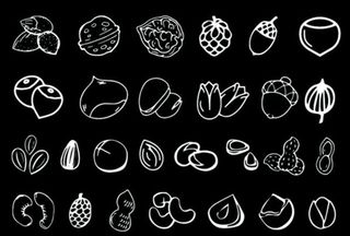 坚果简笔画图片