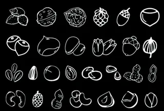 坚果简笔画图片