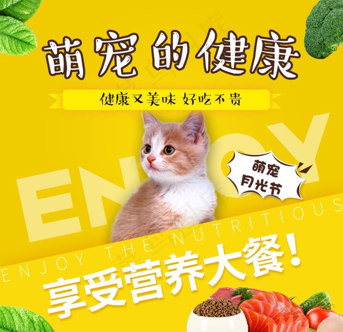 猫粮图片psd模版下载
