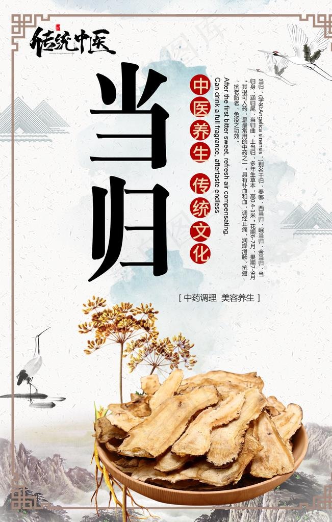 当归图片(1772X2657(DPI:150))psd模版下载