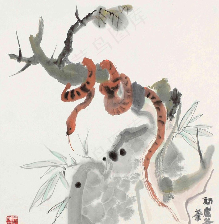 盘蛇图片