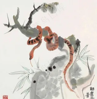 盘蛇图片 盘蛇图片