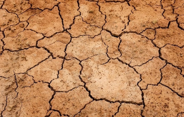 干旱土地图片