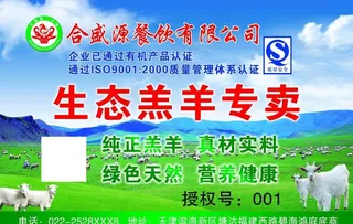 生态羔羊专卖图片