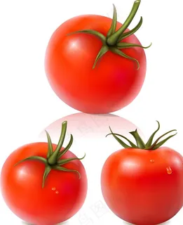 西红柿图片