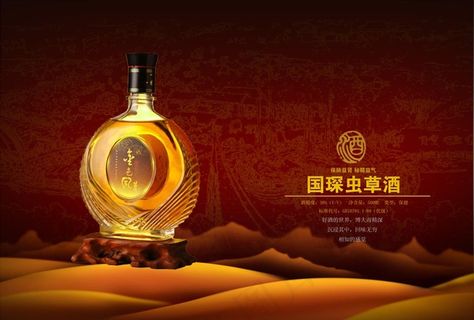 虫草酒海报图片