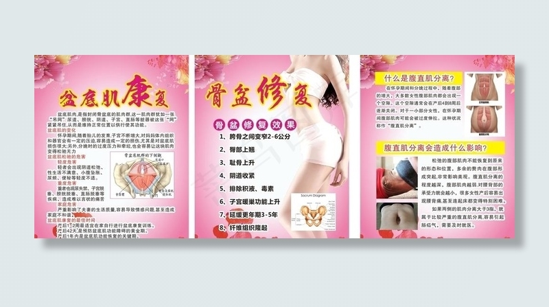 盆底肌 骨盆 腹直肌康复修复图片(210X297)cdr矢量模版下载