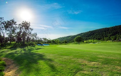 草地背景图图片