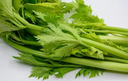 芹菜图片 芹菜图片
